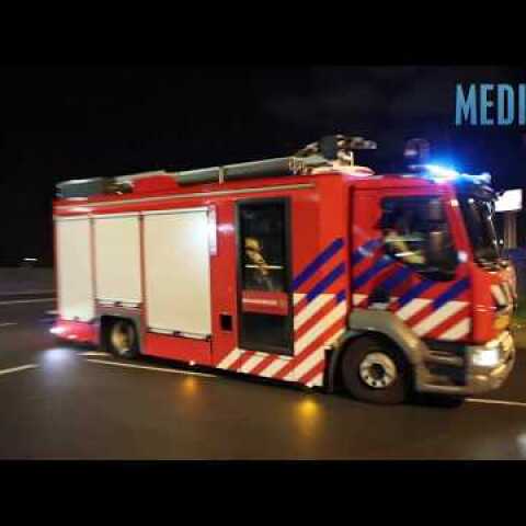 Verstekelingen op ferry van DFDS Seaways aangetroffen