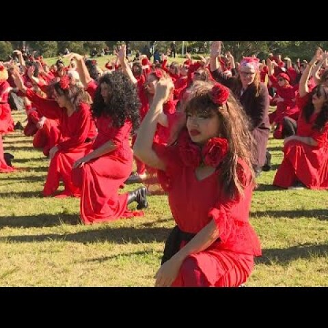 Kate Bush fans form a flash mob in Sydney | AFP