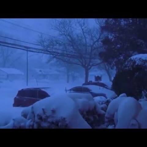 Snow Storm Blizzard - Long Island, New York 2016
