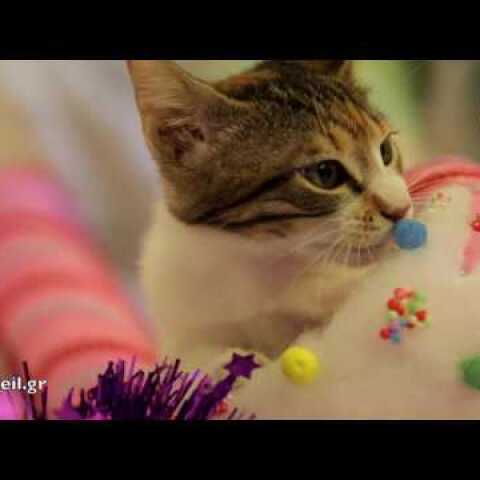 ΧΡΙΣΤΟΥΓΕΝΝΙΑΤΙΚΟ ΠΑΖΑΡΙ  ΖΩΟΦΙΛΙΚΗΣ ΕΝΩΣΗΣ ΗΛΙΟΥΠΟΛΗΣ 2016