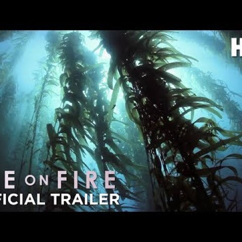 Ice on Fire (2019): Official Trailer | HBO