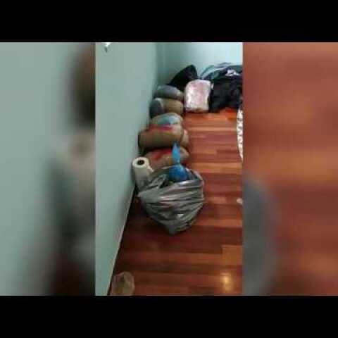 Εξάρθρωση Εγκληματικής Οργάνωσης Ναρκωτικών