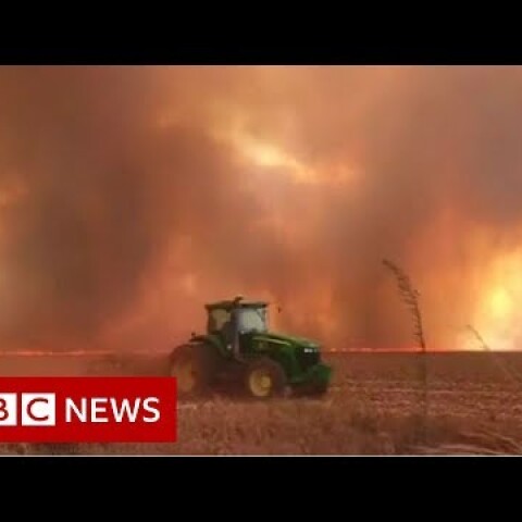 Spike in wildfires in Brazil's Amazon rainforest - BBC News