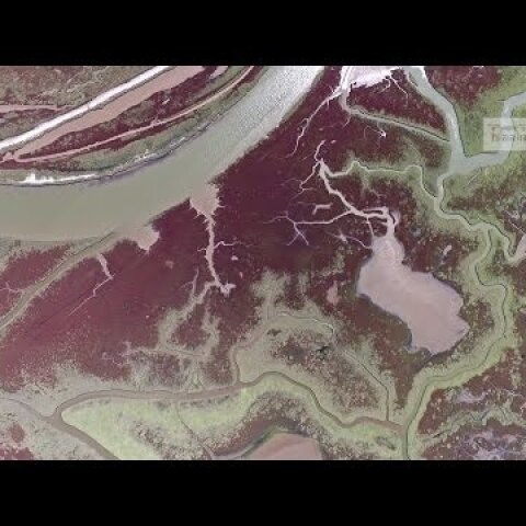 Το μαγευτικό Δέλτα του Αξιού από ψηλά | Axios River Delta Drone Greece