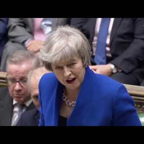Theresa May survives vote of no confidence