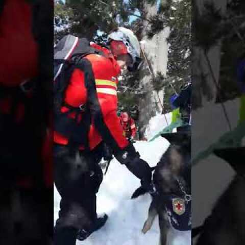 Планински спасители с кучета издирват затрупаните от лавината в Банско