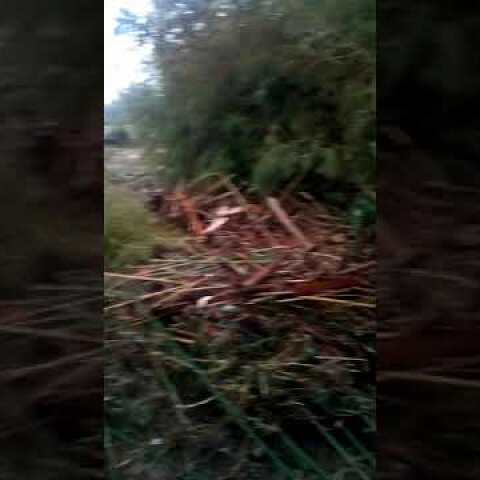 Zona salviano Livorno. Bomba d'acqua della notte fra il 9-10 settembre 2017