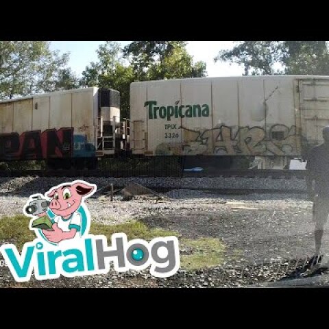 Semi-Trailer Sliced in Half by Freight Train || ViralHog