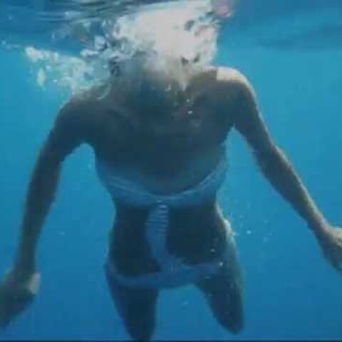 DUSK - Dolphin // the EndlessSummer video