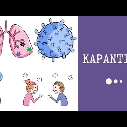 Η αλήθεια για τις συνέπειες της καραντίνας