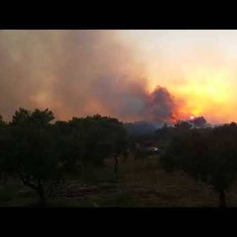 ΖΑΚΥΝΘΟΣ | Φωτιά στον Αγαλά