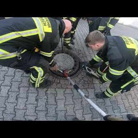 Ratte steckt im Gulli fest