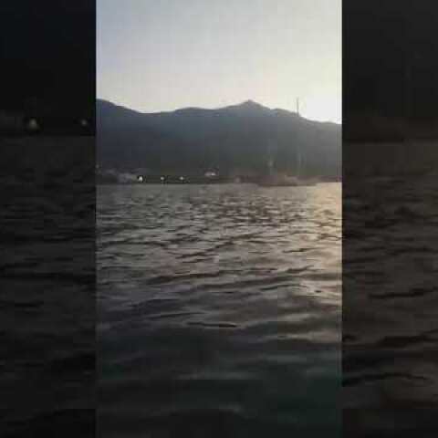 Το σκάφος Οpen Arms της οργάνωσης «Proactiva» ανοιχτά της Συκαμιάς