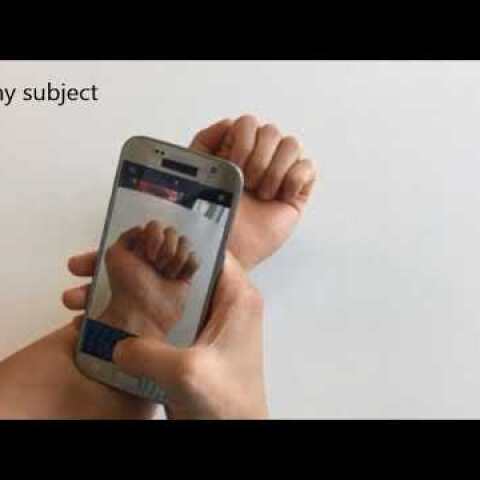 Mannino Accompanying Video