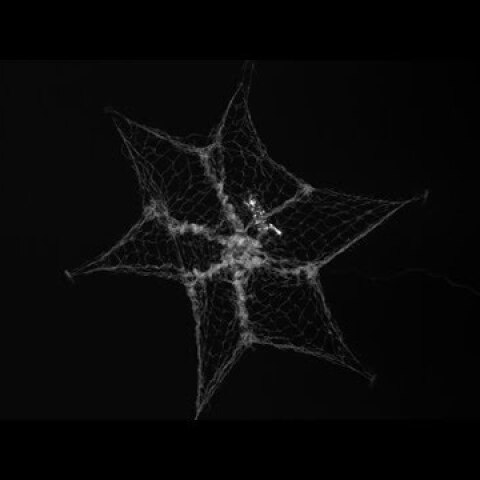 RemoveDEBRIS’s net captures space debris