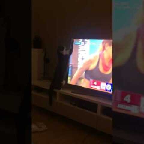 O Dexter και το Survivor