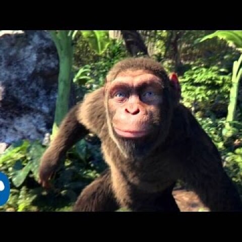 Coldplay - Adventure Of A Lifetime (Official Video)