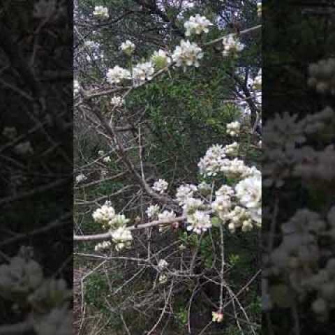 Πρώτη μέρα της Άνοιξης