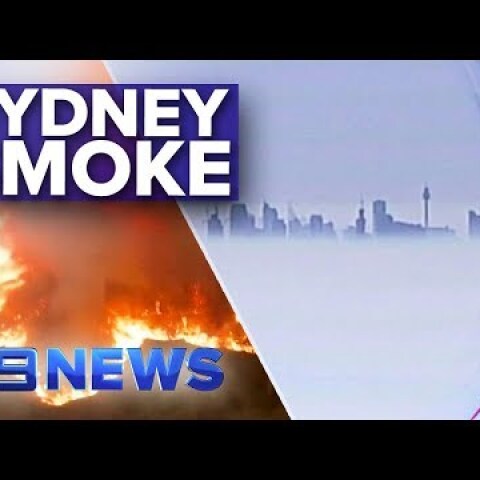 Sydney city smothered in hazardous haze | Nine News Australia