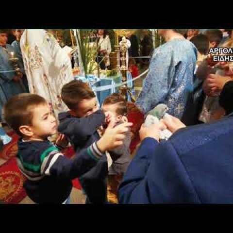 ΕΘΙΜΟ ΠΕΡΙΣΤΕΡΙΑ ΝΑΥΠΛΙΟ ΘΕΟΦΑΝΙΑ 6/1/2020