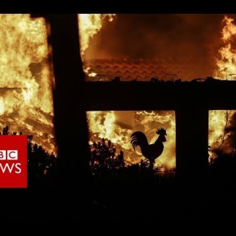 Greece wildfires: '60 dead' in holiday area - BBC News