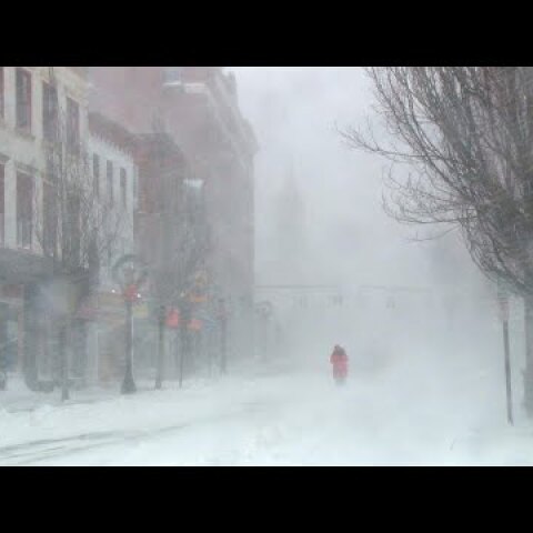 Scenes from Thursday's snow storm