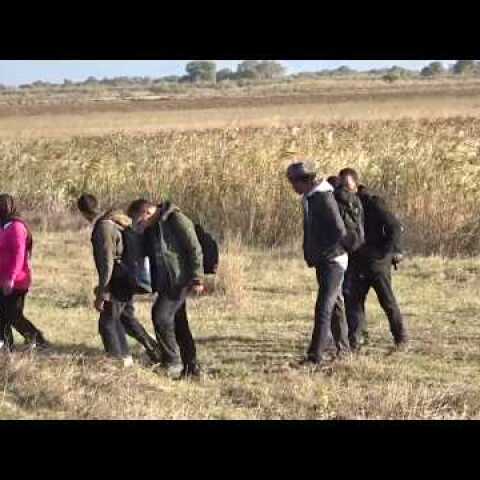 Μετανάστες στο Δέλτα του Έβρου