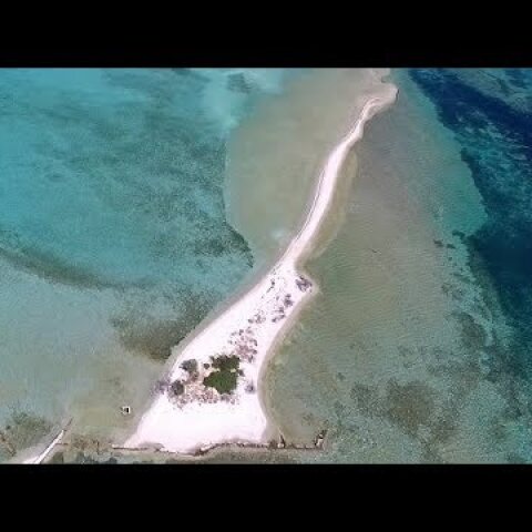 Το επίπεδο, παραδεισένιο ελληνικό νησί που είναι όλο παραλία | Dream islet Greece Drone