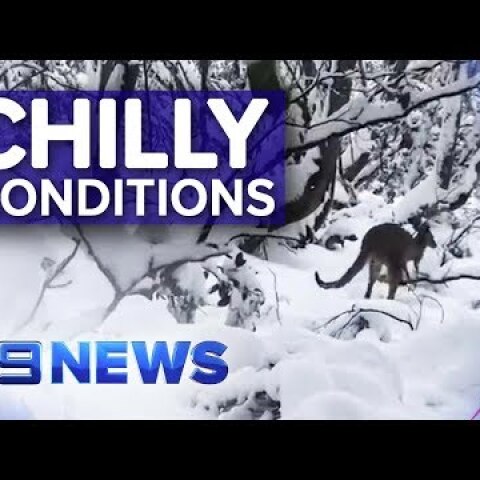 Victoria hit with a wintry blast | Nine News Australia