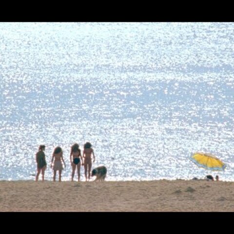 Δεσποινίς Τρίχρωμη (MissTrichromi) – Το κάστρο (WinonaOST)