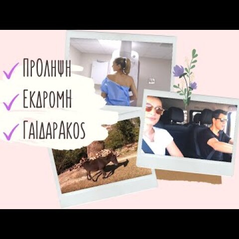 Πρόληψη ✔️ Εκδρομή ✔️ Γαϊδαράκος ✔️