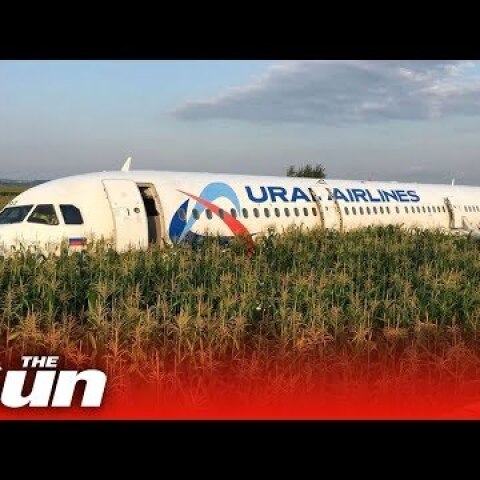In-flight video of bird strike & emergency landing | Ural A321