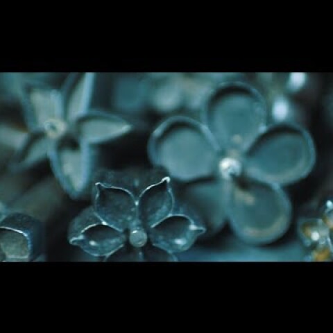 Visionaire, ONE LOOK: THE FLOWER, CELIA KRITHARIOTI