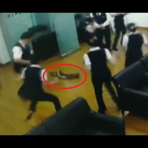 1.5-meter python falls from ceiling on bank clerks during meeting