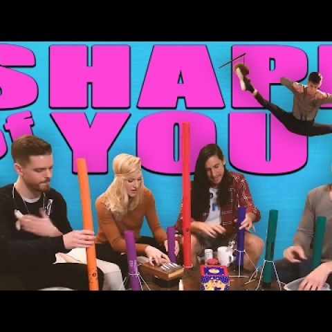 Ed Sheeran Cover with weird instruments!