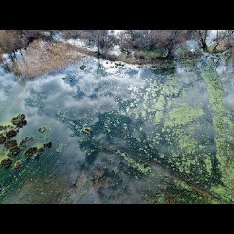 Ο άγνωστος Κηφισός: Οι πηγές της ζωής και του θανάτου