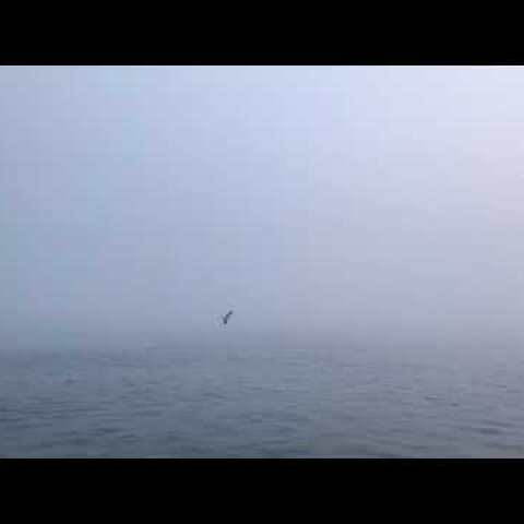 Ortaköy'de sisli bir gün