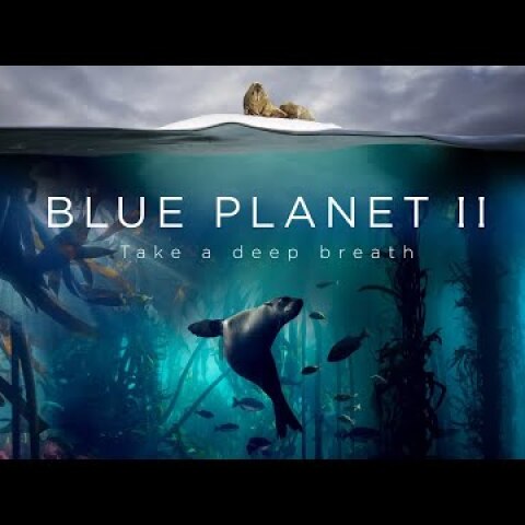 Blue Planet II : The Prequel