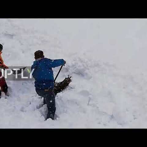 Watch as rail workers rescue goat buried under snow in Austria