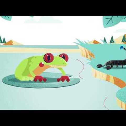 Είναι στη φύση τους...