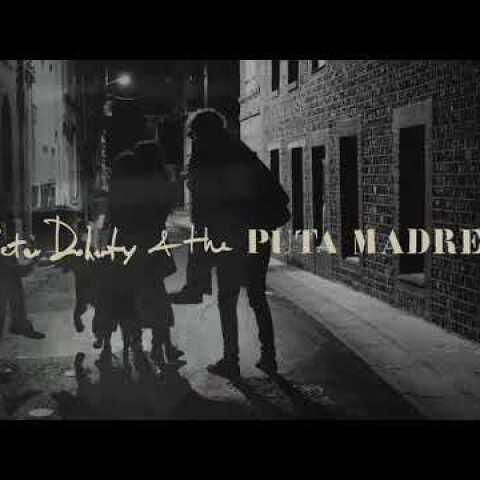 Peter Doherty  & The Puta Madres - 'Who's Been Having You Over' (Official Audio)