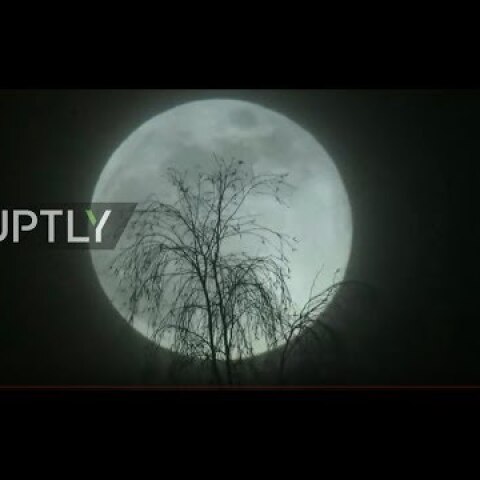 LIVE: ‘Super Snow Moon’ burns bright over Moscow's night sky