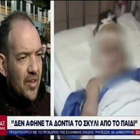 Πίτμπουλ δάγκωσε κοριτσάκι που έλεγε τα κάλαντα