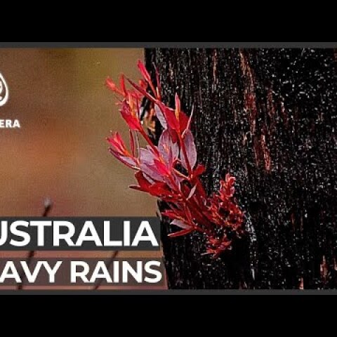 Australia bushfires: Heavy rains bring relief, pollution warnings