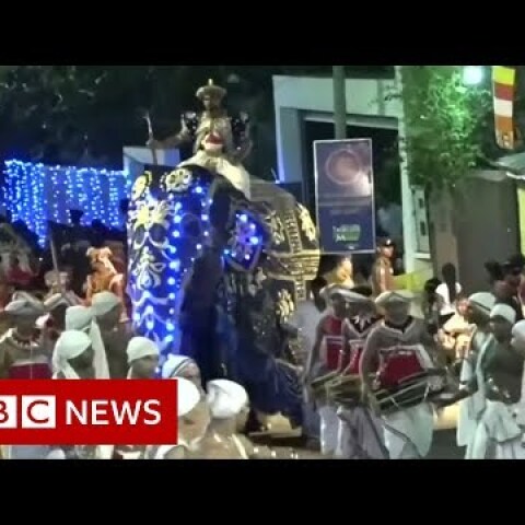 Sri Lanka elephant runs amok in parade - BBC News