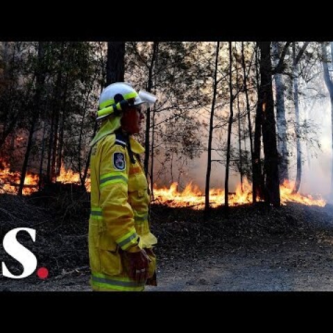 Bushfires in Australia: Queensland ravaged by record wildfire emergencies