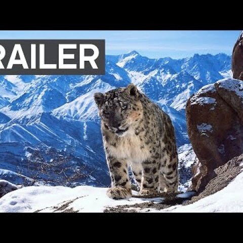 Planet Earth II: Official Extended Trailer | BBC Earth