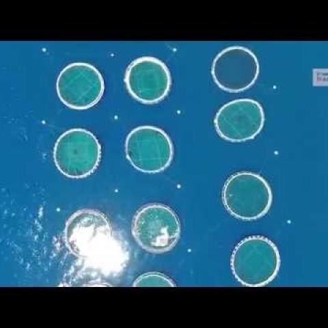 Το Φιόρδ του θρυλικ ού Υποβ ρυχίου Παπανικολής Σελόντα | Selonda bay Papanikolis  Greece Drone