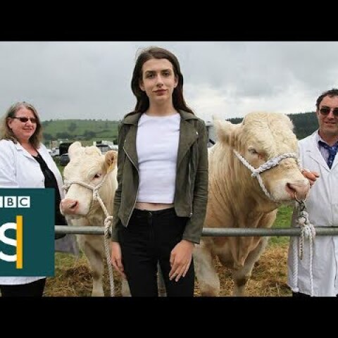 Watching my son become my daughter - BBC Stories