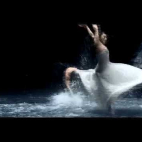 Lilies of the valley